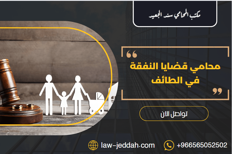 قضايا النفقة