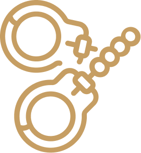 icon 4 عن الشركة