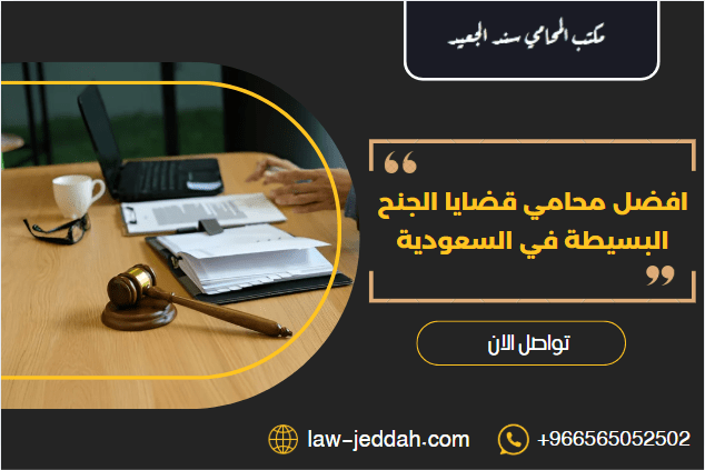 محامي قضايا الجنح البسيطة