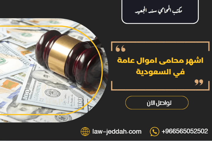 اشهر محامى اموال عامة